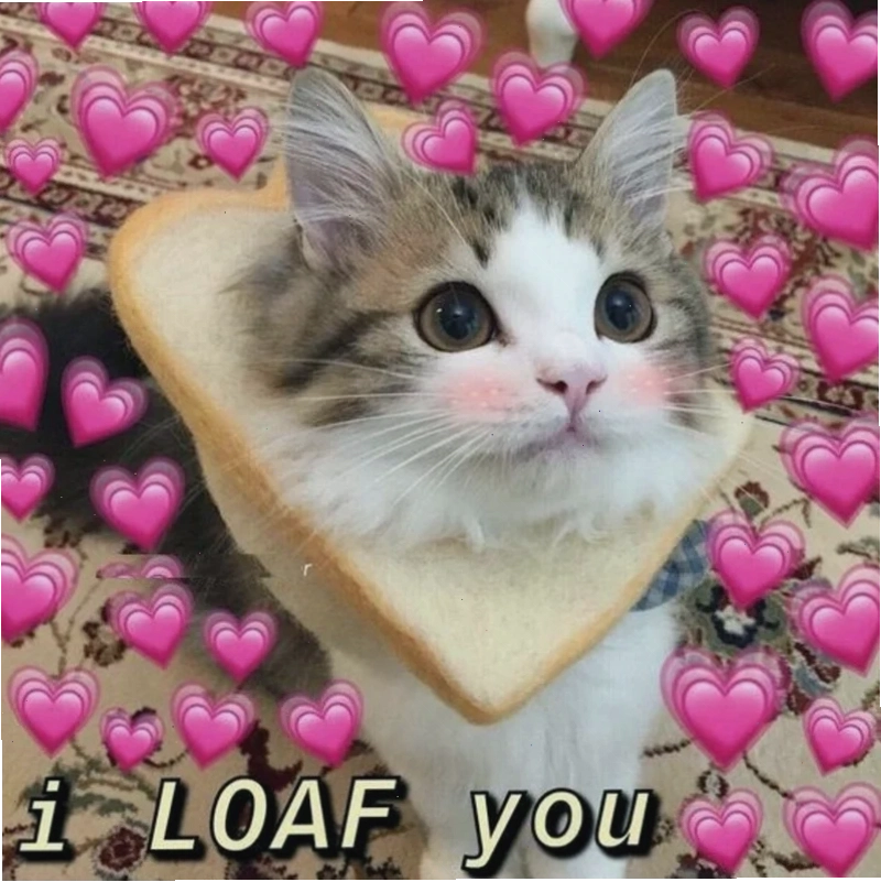 meme tình yêu mưa