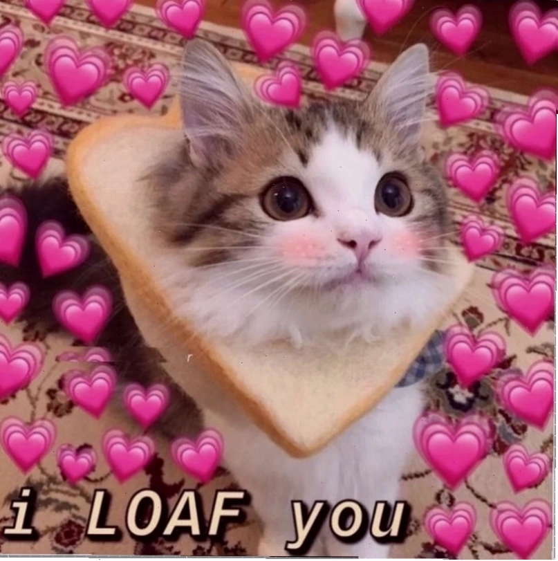 meme tình yêu mưa