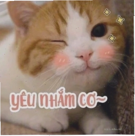 meme tình yêu nến