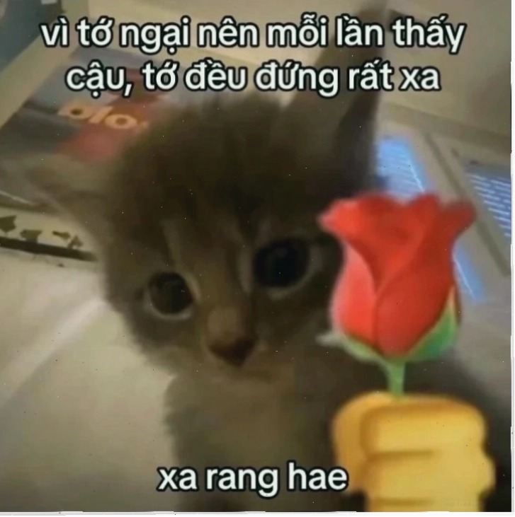 meme tình yêu nhẫn
