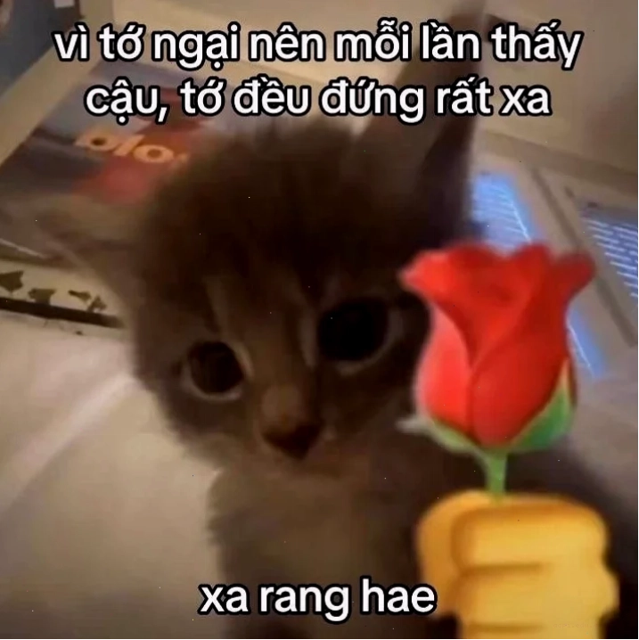 meme tình yêu nhẫn