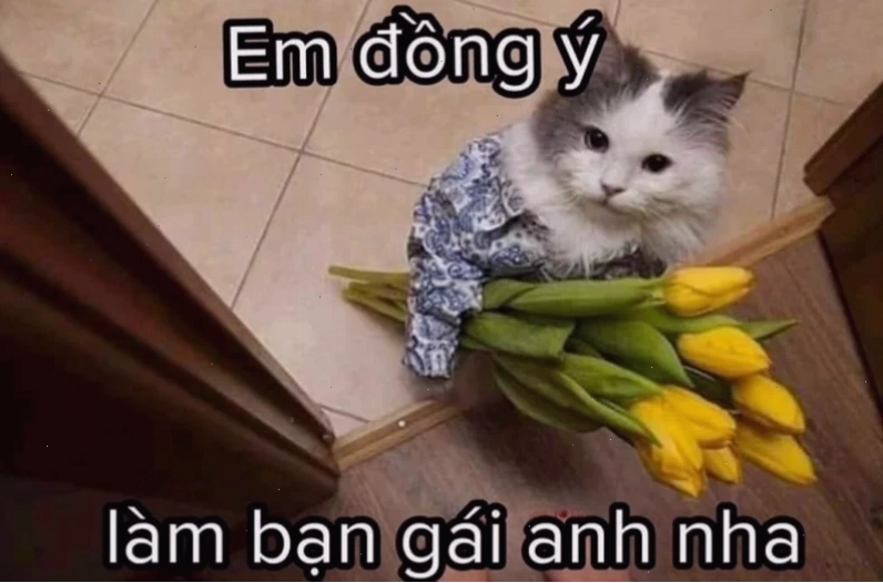 meme tình yêu quà tặng