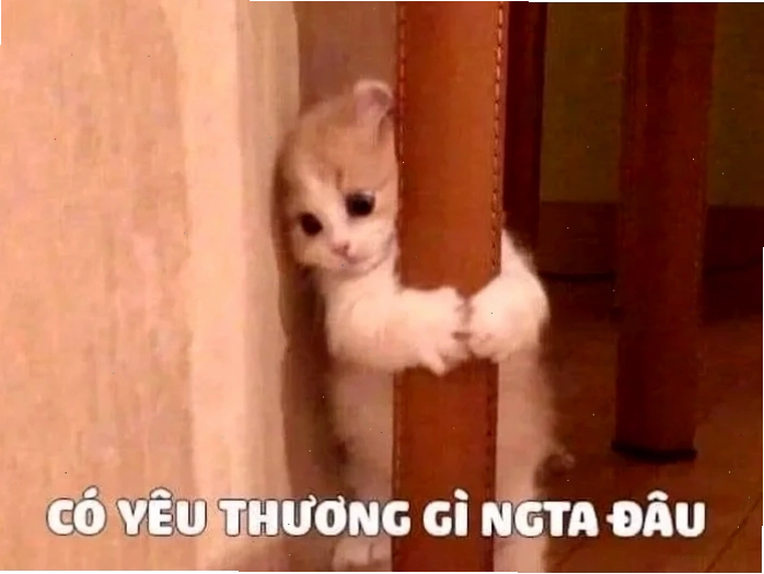 meme tình yêu tay nắm