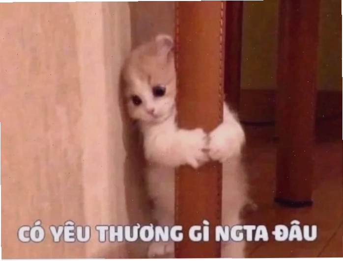 meme tình yêu tay nắm