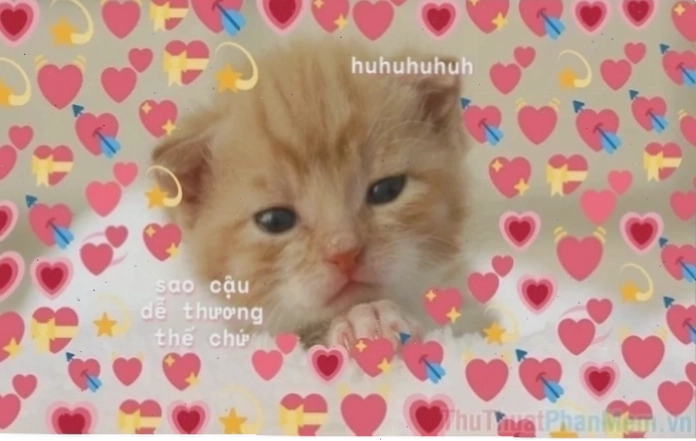 meme tình yêu to lớn