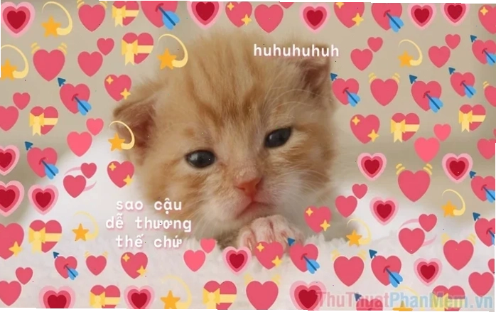 meme tình yêu to lớn