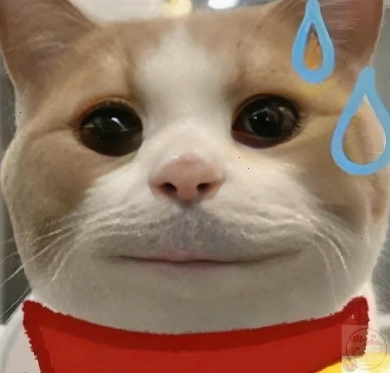 meme tôi không còn gì