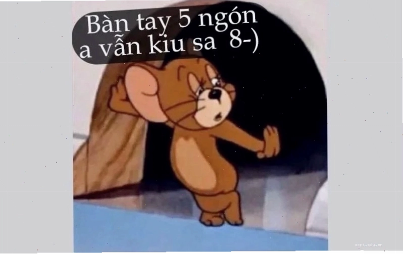 meme tom và jerry bổ sung