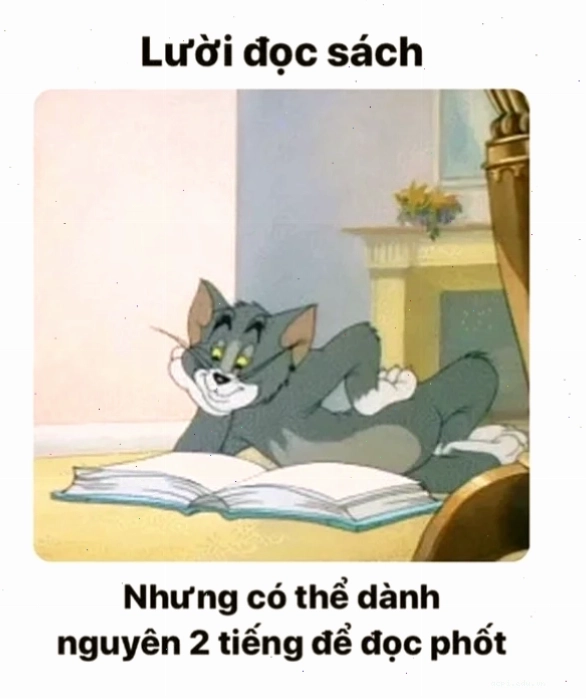 meme tom và jerry bổ sung