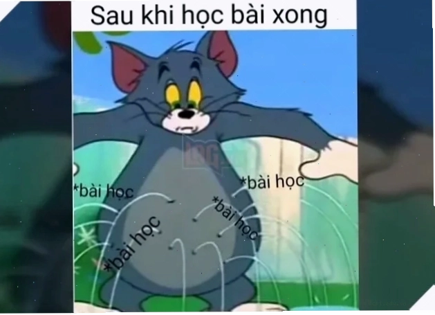 meme tom và jerry bổ sung