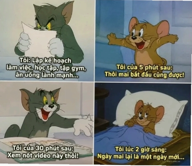 meme tom và jerry buồn