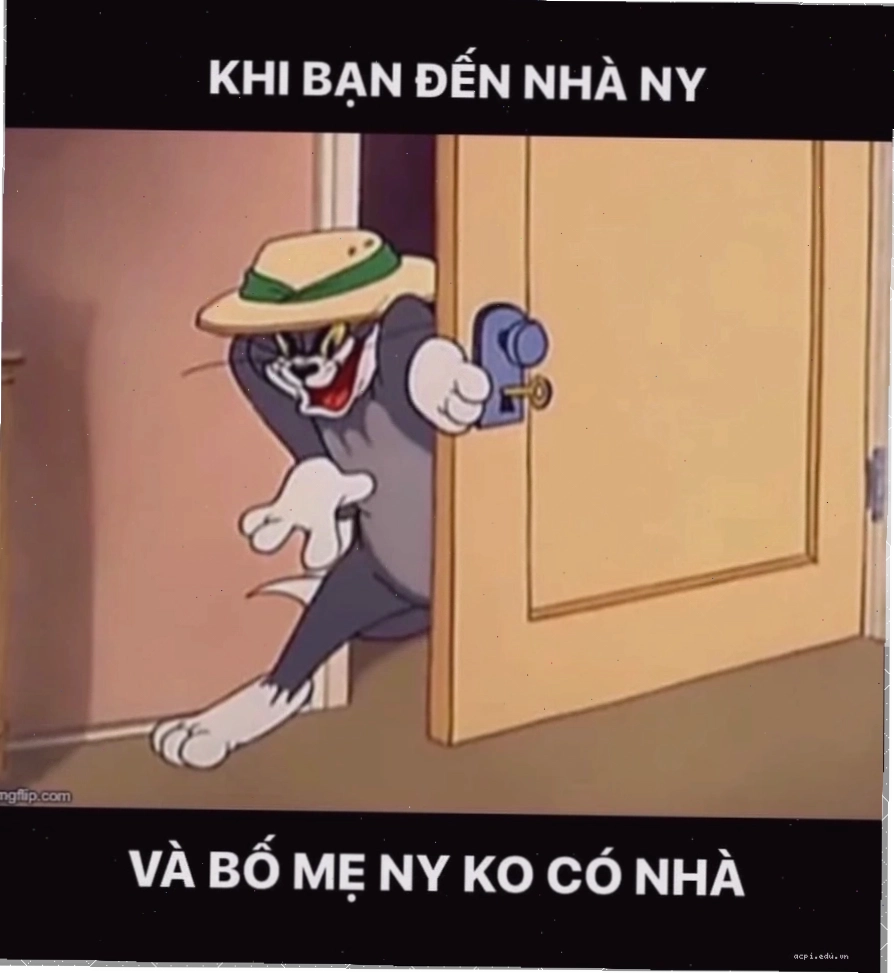 meme tom và jerry chill