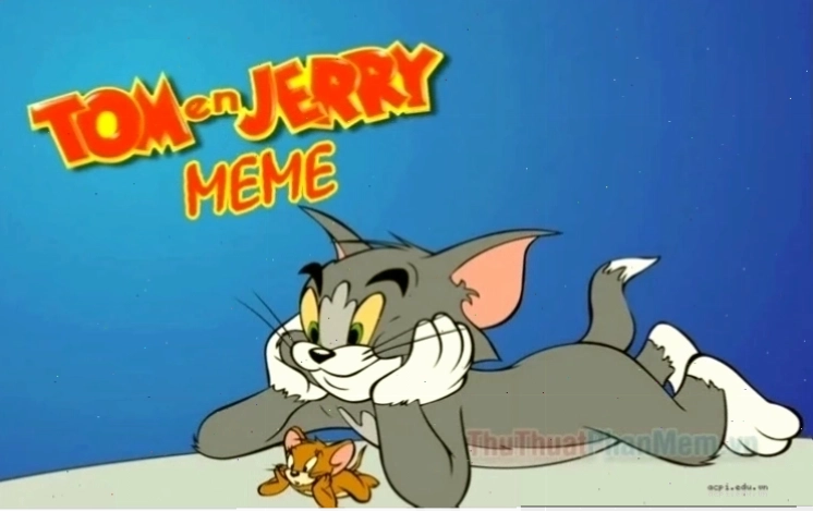 meme tom và jerry chơi đùa