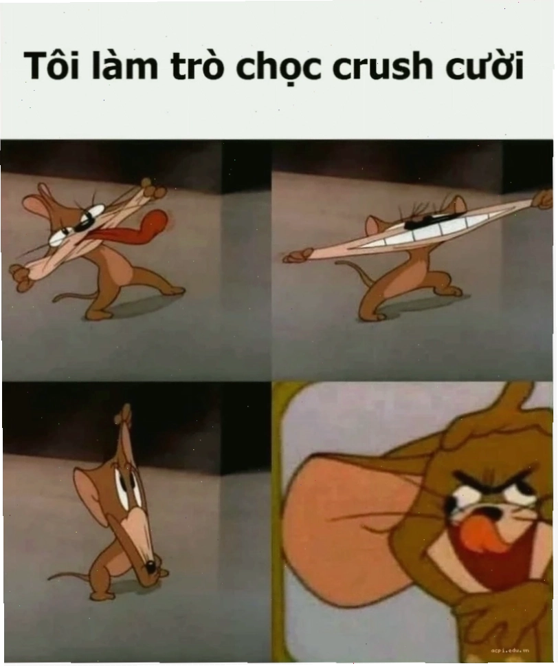 meme tom và jerry ngầu