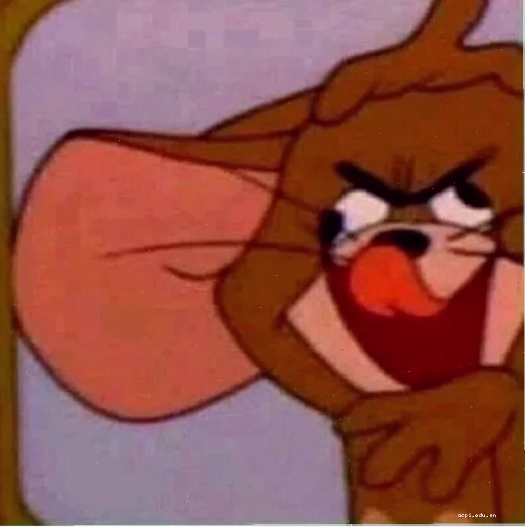 meme tom và jerry vui vẻ