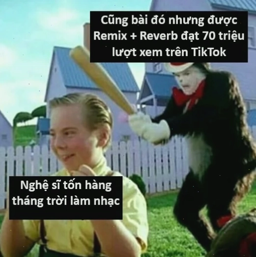 meme trên tiktok