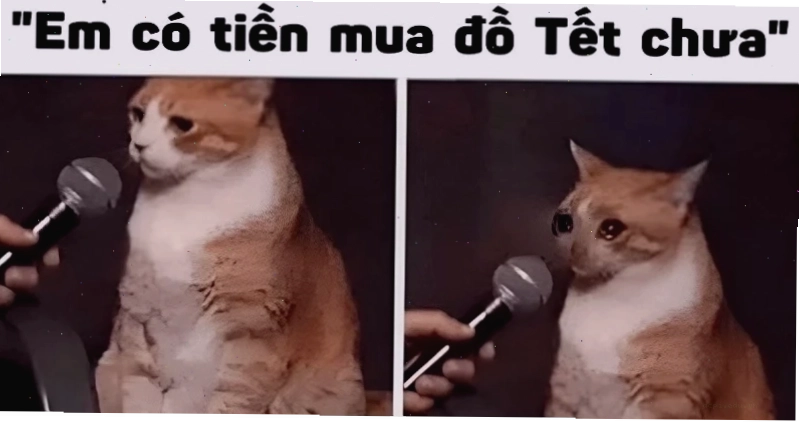 meme treo cổ thở không nổi