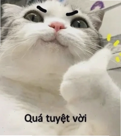 Meme truyện tranh meme là gì trên facebook