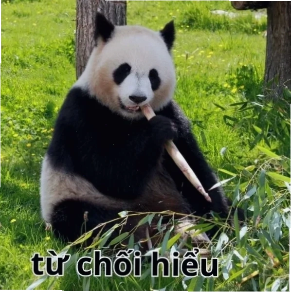 meme từ chối