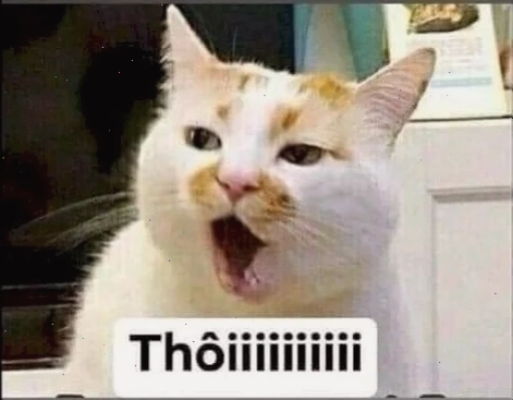 meme từ chối