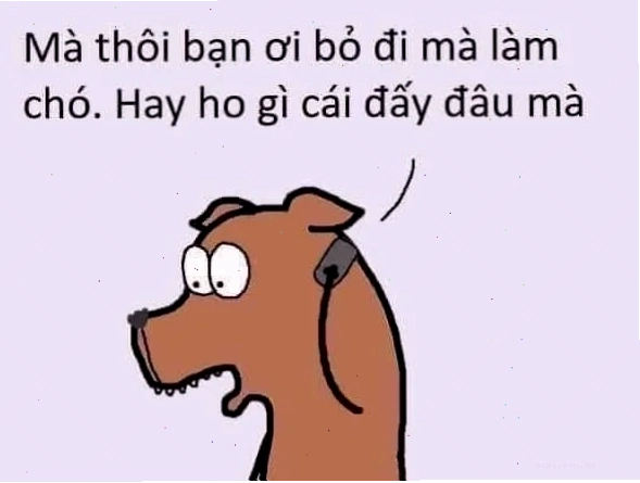 meme từ chối
