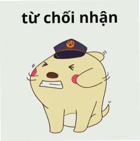 meme từ chối