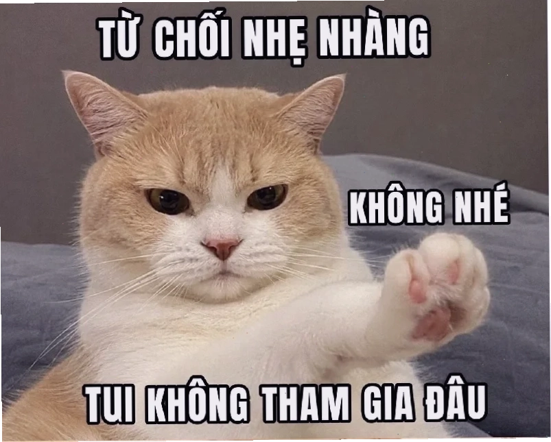 meme từ chối