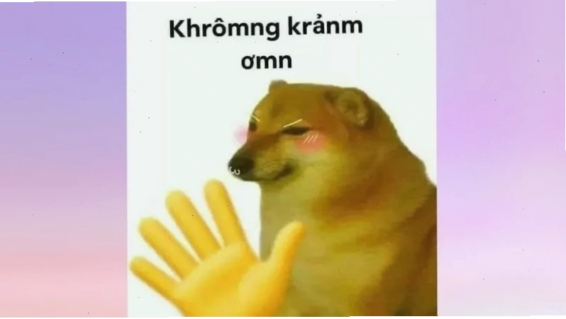 meme từ chối