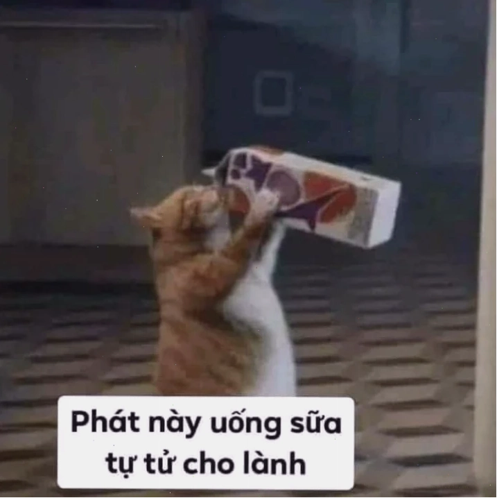 meme tự tử