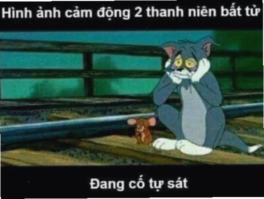 meme tự tử