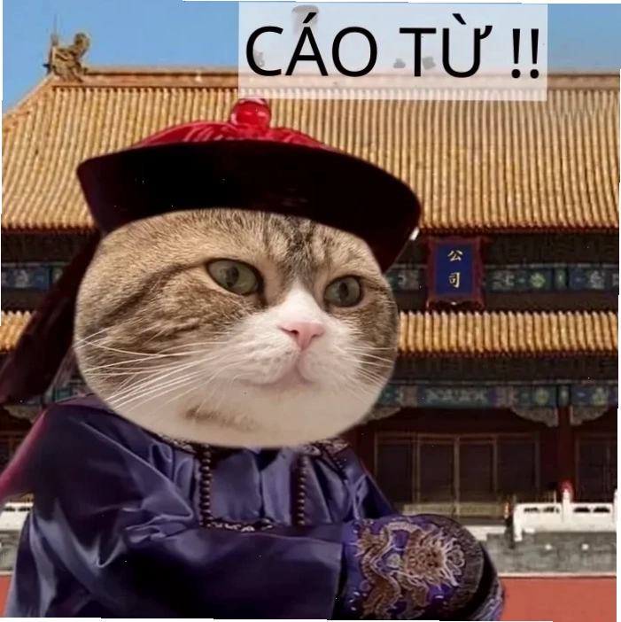 meme tự tử