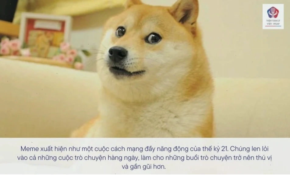 meme tự tử