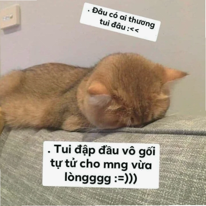 meme tự tử