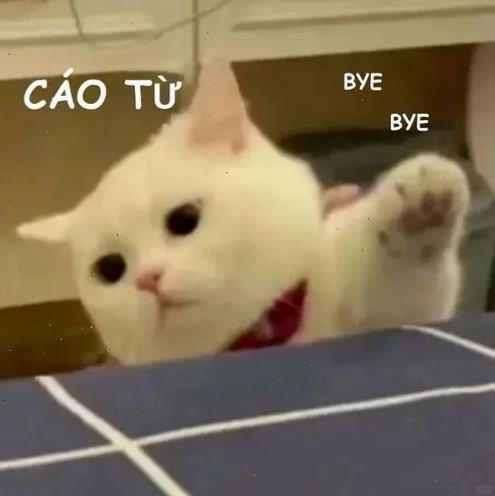 meme tự tử