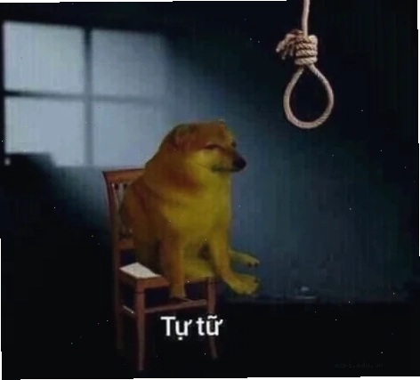 meme tự tử