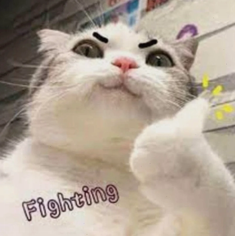 meme tự tử