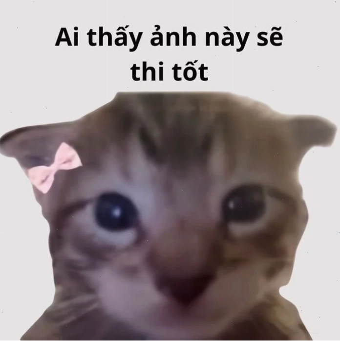 meme tự tử