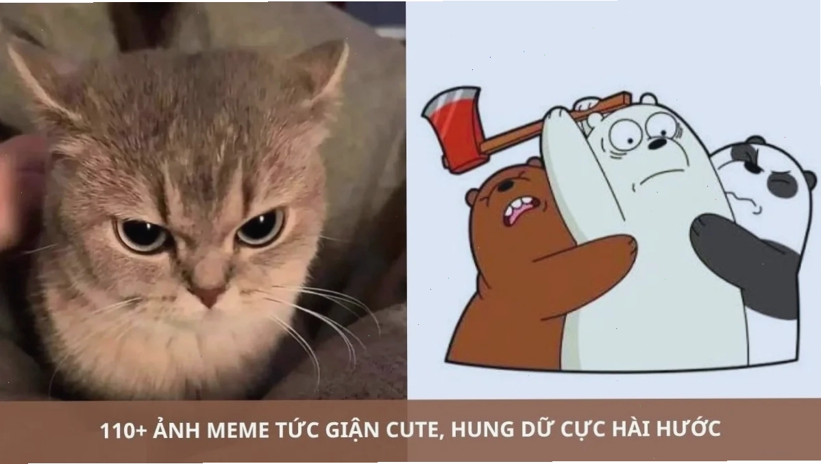 meme tức giận biểu cảm đáng yêu