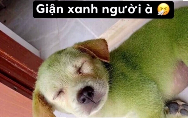 meme tức giận chất lượng cao