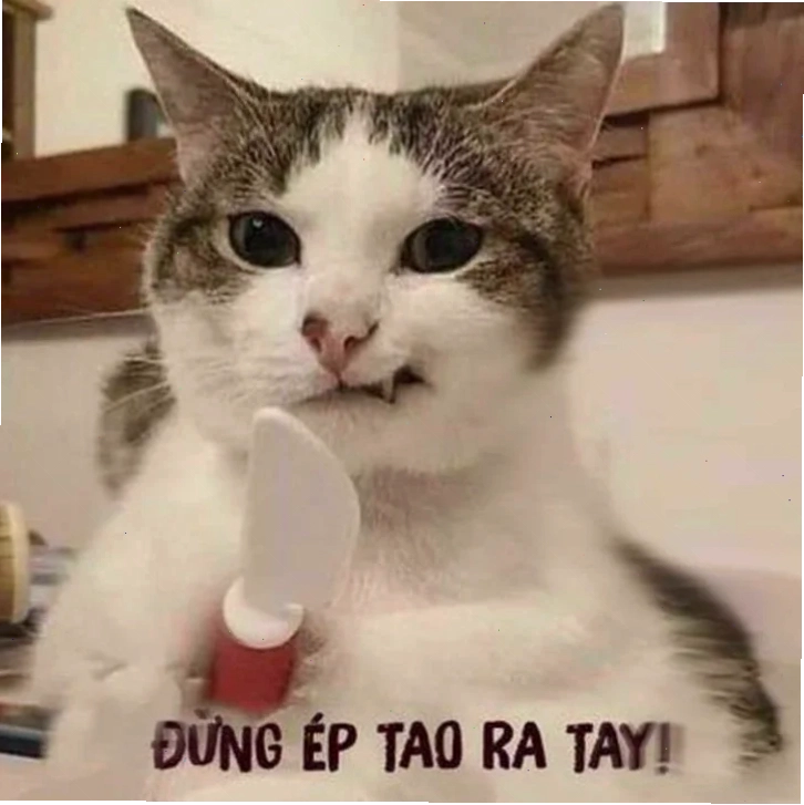 meme tức giận cute