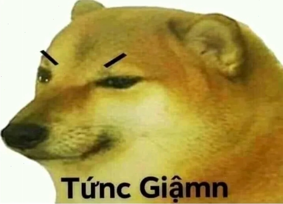 meme tức giận đáng yêu