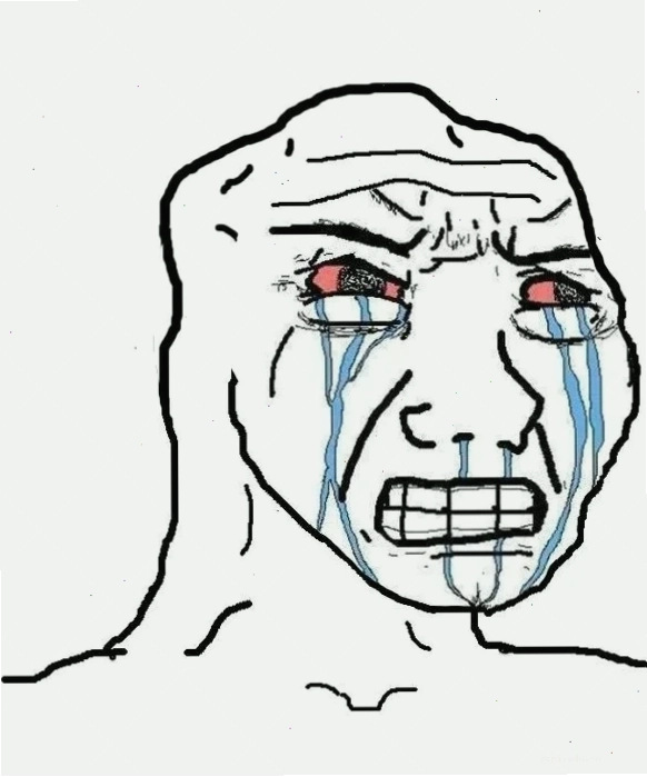 meme tức giận gấu trúc