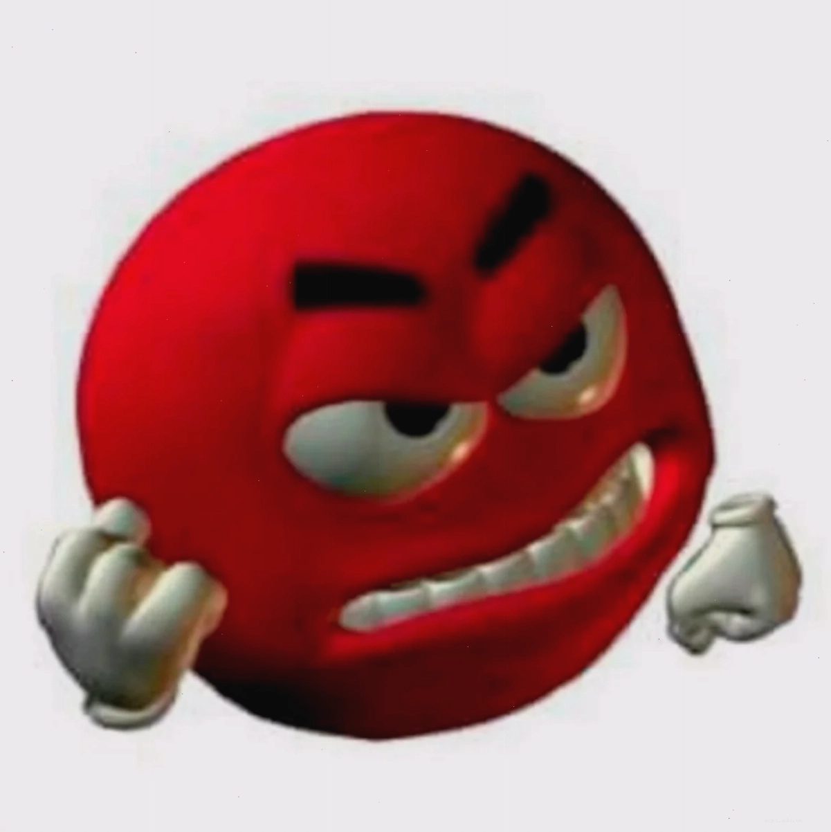 meme tức giận mèo nhe răng