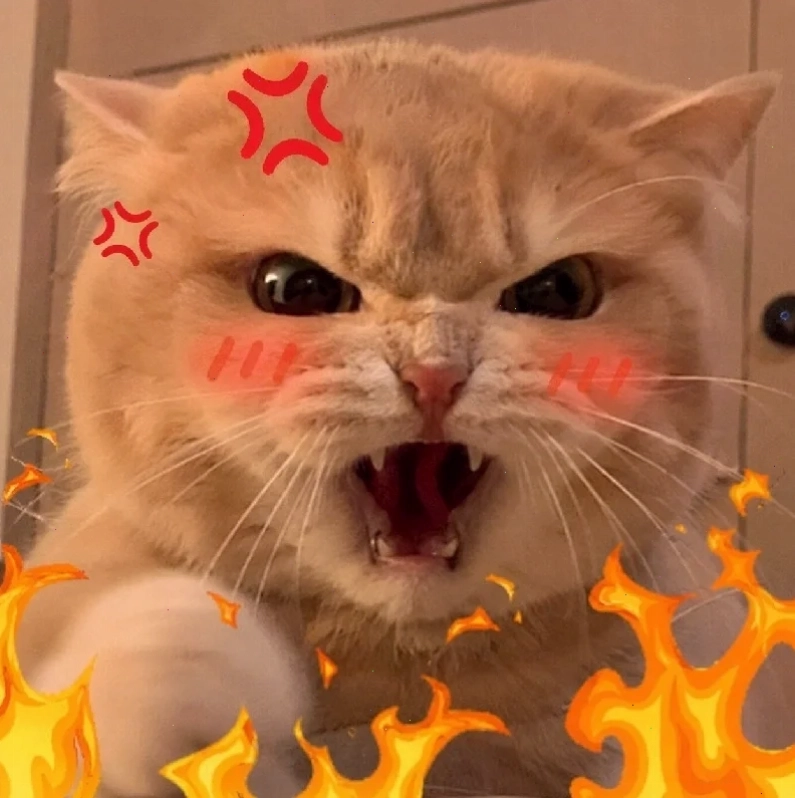 meme tức giận nắm đấm