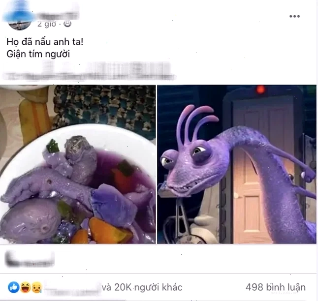 meme tức giận vô tri