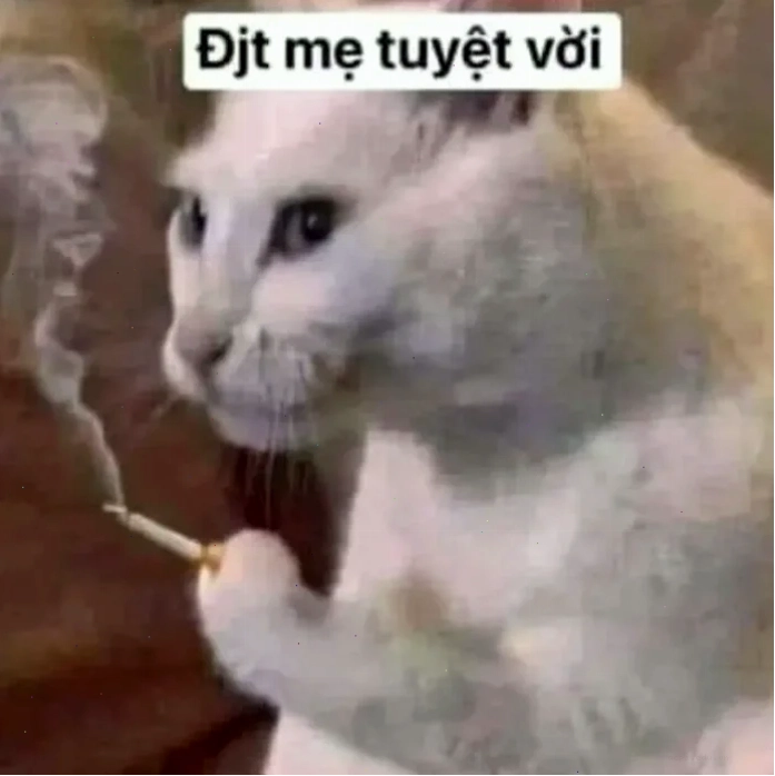 meme tuyệt vời