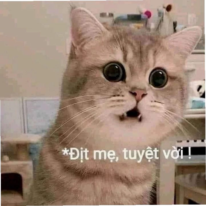 meme tuyệt vời