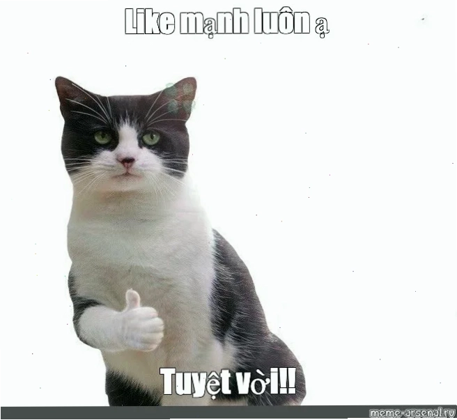 meme tuyệt vời