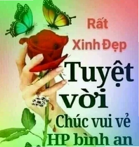 meme tuyệt vời