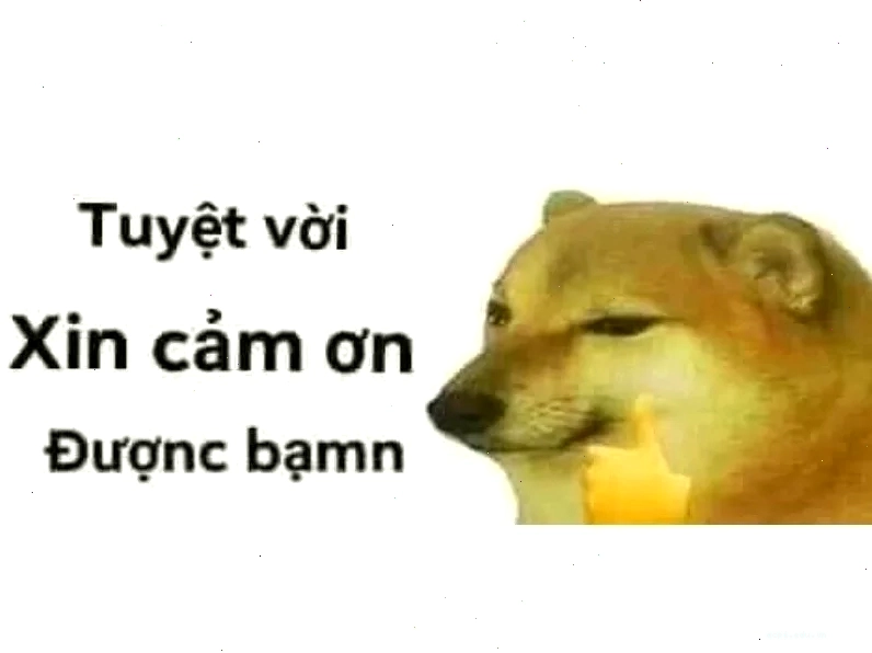 meme tuyệt vời